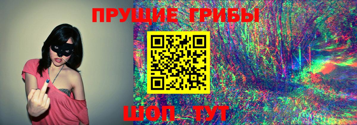 Псилоцибиновые грибы Psilocybine cubensis Чита
