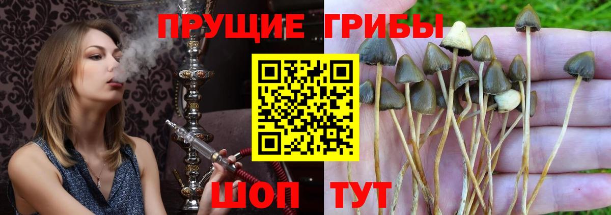 Чита  купить наркотики сайты  Вход с VPN  Галлюциногенные грибы ЛСД 